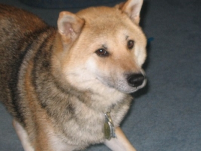Samwise